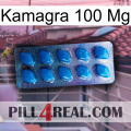 Kamagra 100 Mg viagra1